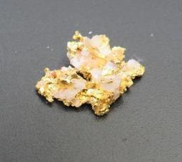 Small gold Nugget