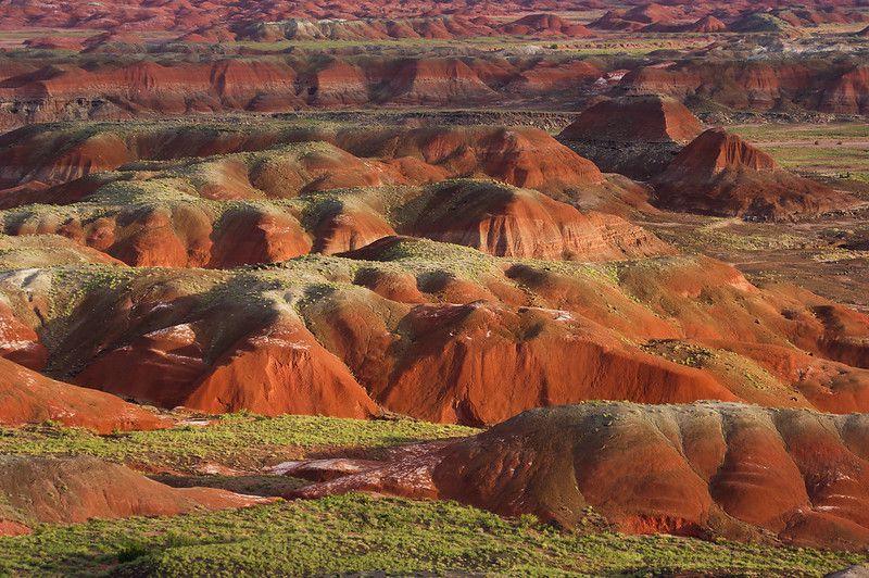 Explore Navajo County, Arizona!