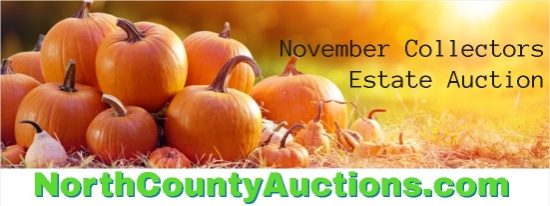 2021 November Collectors Estate Auction