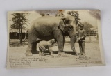 Liberty Park Zoo Utah Baby Elephant RPPC Postcard