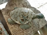 Poly/Stone Turtle
