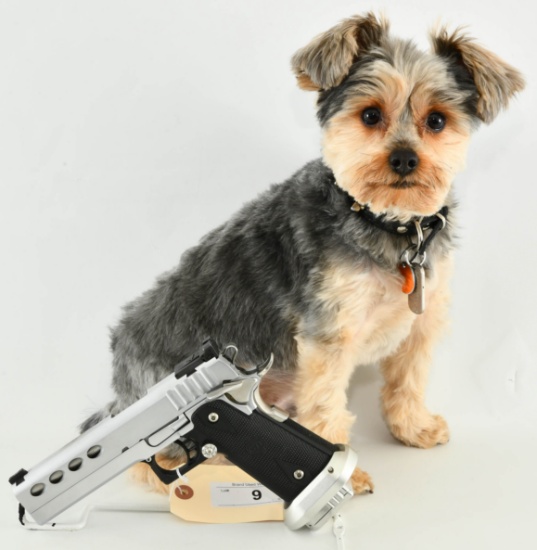 Gun Collectors Dream Auction # 59 Day 1 NO RESERVE