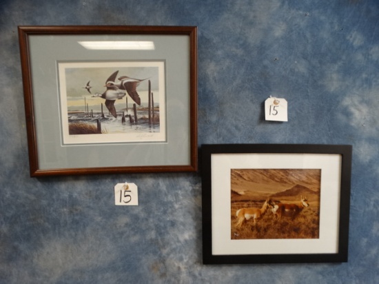 Two Framed Wildlife Prints ( 2 x $ )
