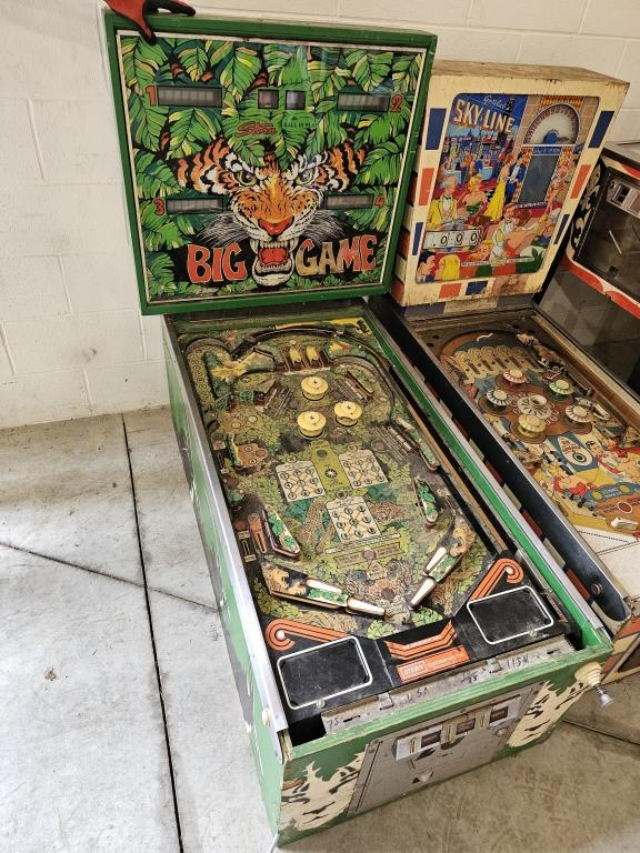 Stern Big Game Pin Ball Machine