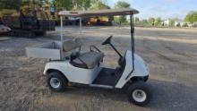 Electric Golf Cart