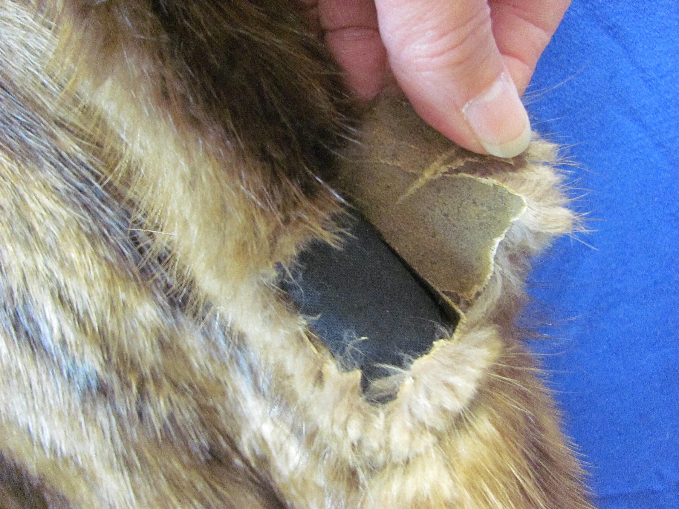 Vintage Fur Cape – Conrad's Fine Furs – Rochester, Minn. - Fully Lined – Slightly Brittle