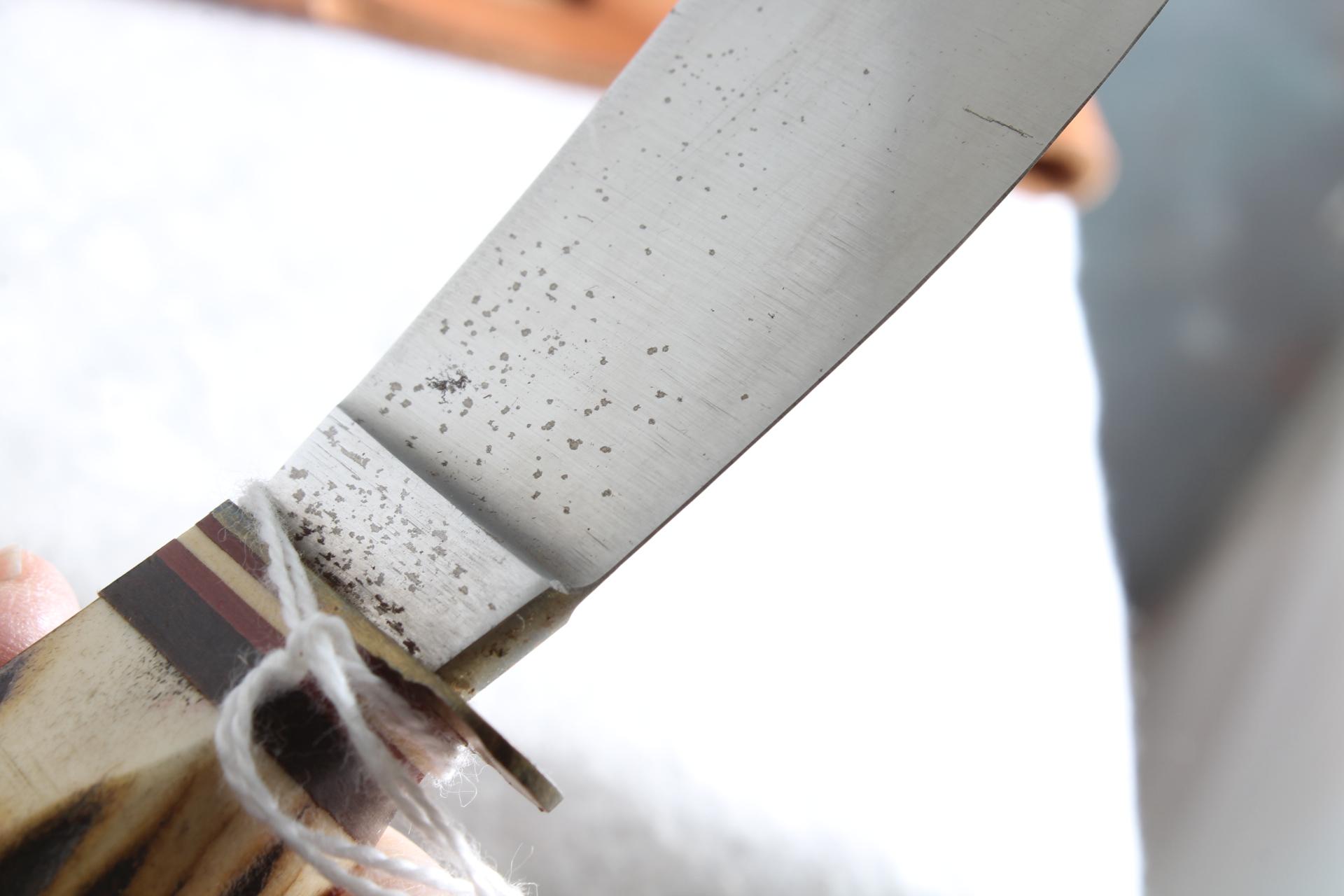Vtg. Solingen Cutlery B. Svoboda Fixed Blade Knife in Sheath 8 1/2" Long