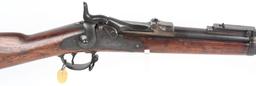 EXPERIMENTAL SPRINGFIELD MODEL 1880 TRAPDOOR