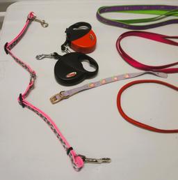 Dog Leash Lot