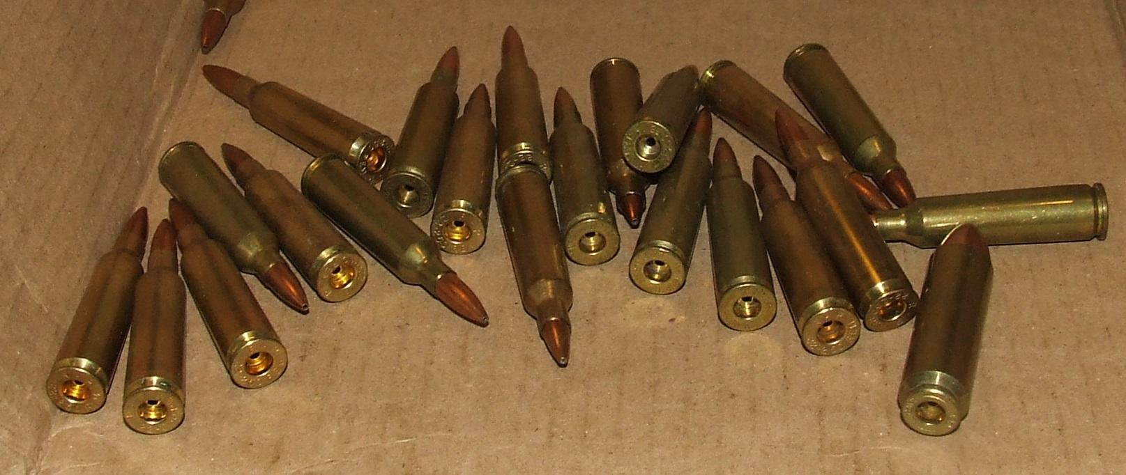 Large Ammo Lot