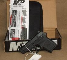 Smith & Wesson  Body Guard 380  380 Auto  Pistol