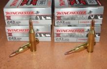 80 Rounds Winchester .243