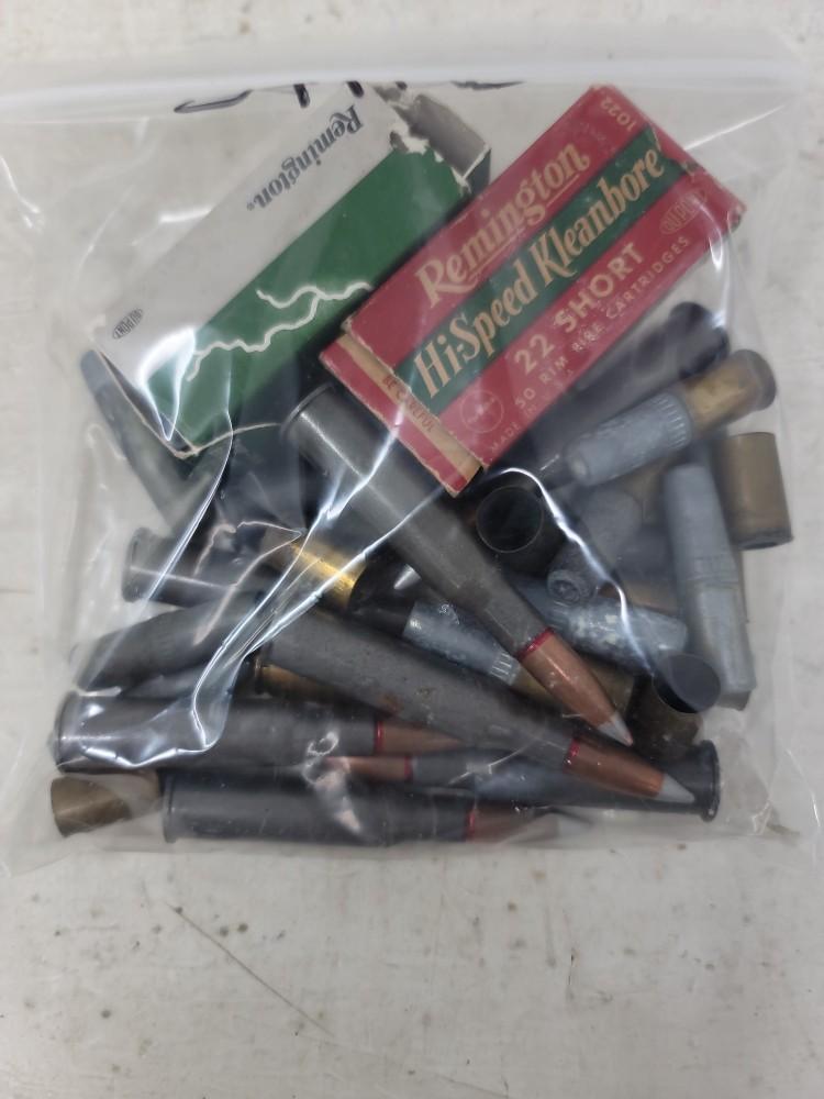 Bag lot Assorted Ammo(54 Rnds)