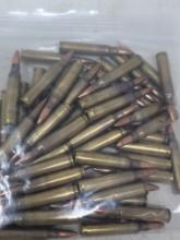 1 Bag 51 Rounds LC 10 & LC 11