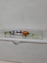 Custom Hand Painted Fishing Lure