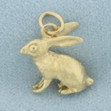 3d Rabbit Zodiac Charm In 14k Yellow Gold