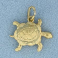 Turtle 3d Charm In 18k Yellow Gold
