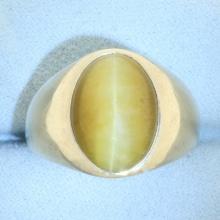 Mens Cat's Eye Ring In 10k Yellow Gold