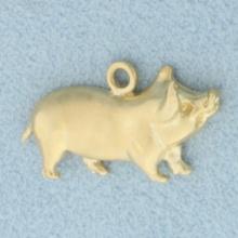 Pig Charm Or Pendant In 14k Yellow Gold