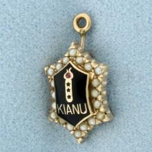 Vintage Kianu Chi Alpha Nu Xan Charm Or Pendant In 10k Yellow Gold