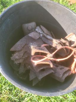 Bucket of cultivator teeth