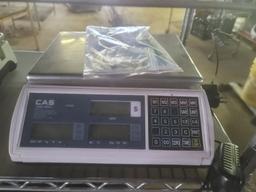 CAS S2000 Jr. Scales.