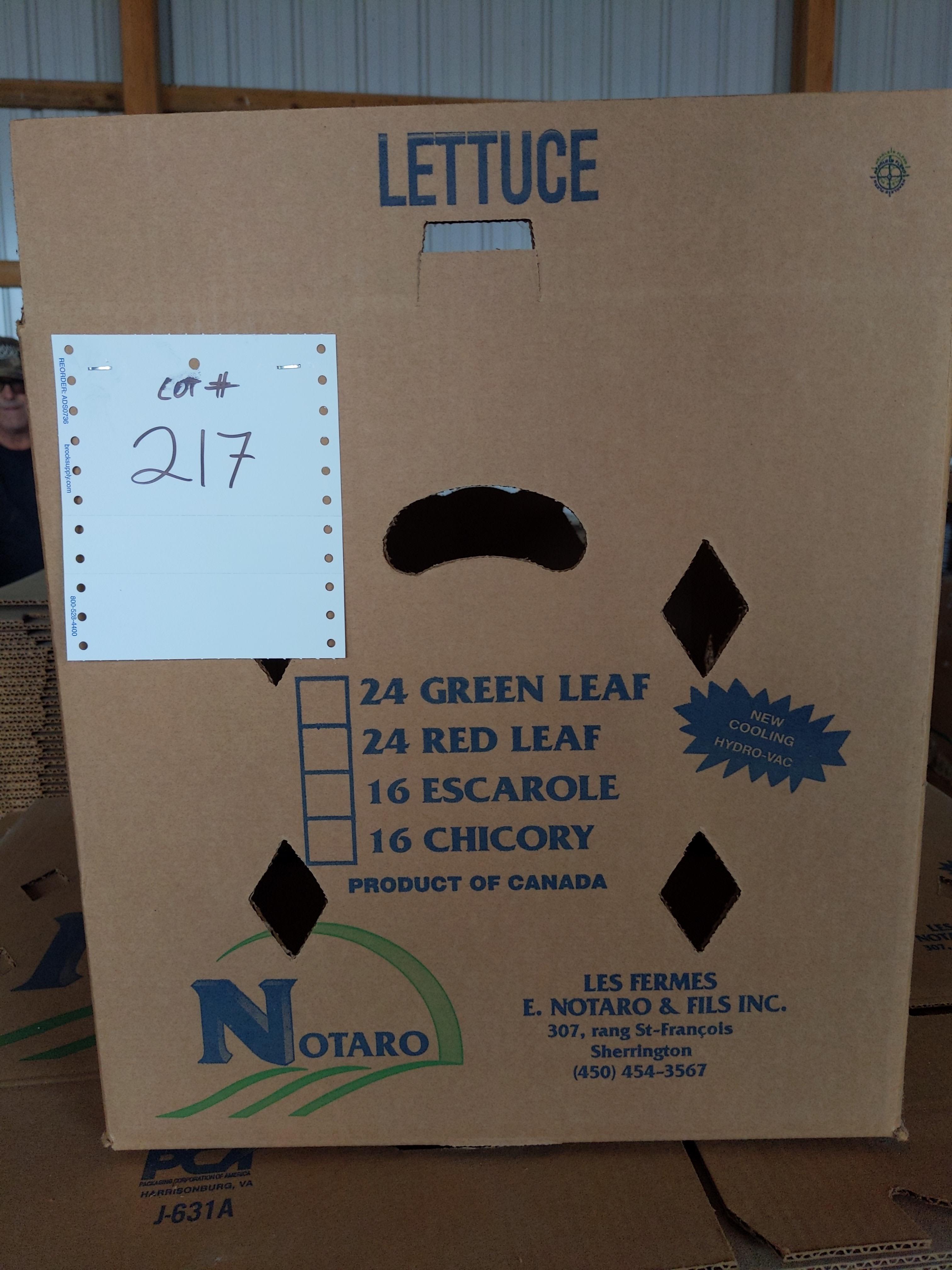 Non-waxed Cardboard lettuce boxes