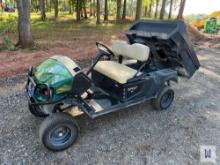 2021 CUSHMAN HAULER 1200 GOLF CART, SN: 3519856