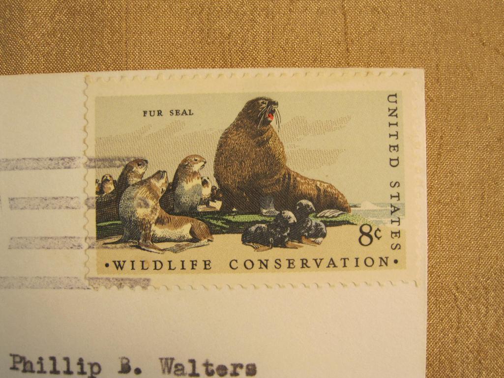 Wildlife Conservation 8 cent US postage stamp on Apollo 17 US Navy Pacific Recovery Force envelope