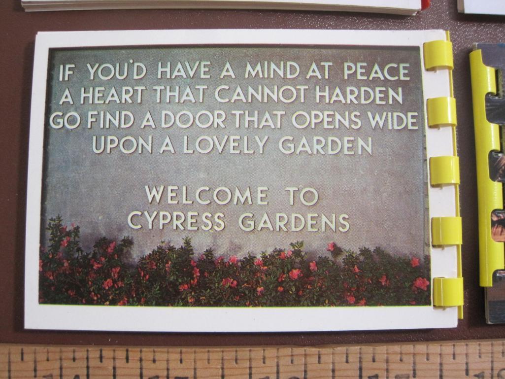 Lot of 4 color Florida Souvenir Photo Booklets, including Cypress Gardens, Greater Ft.
