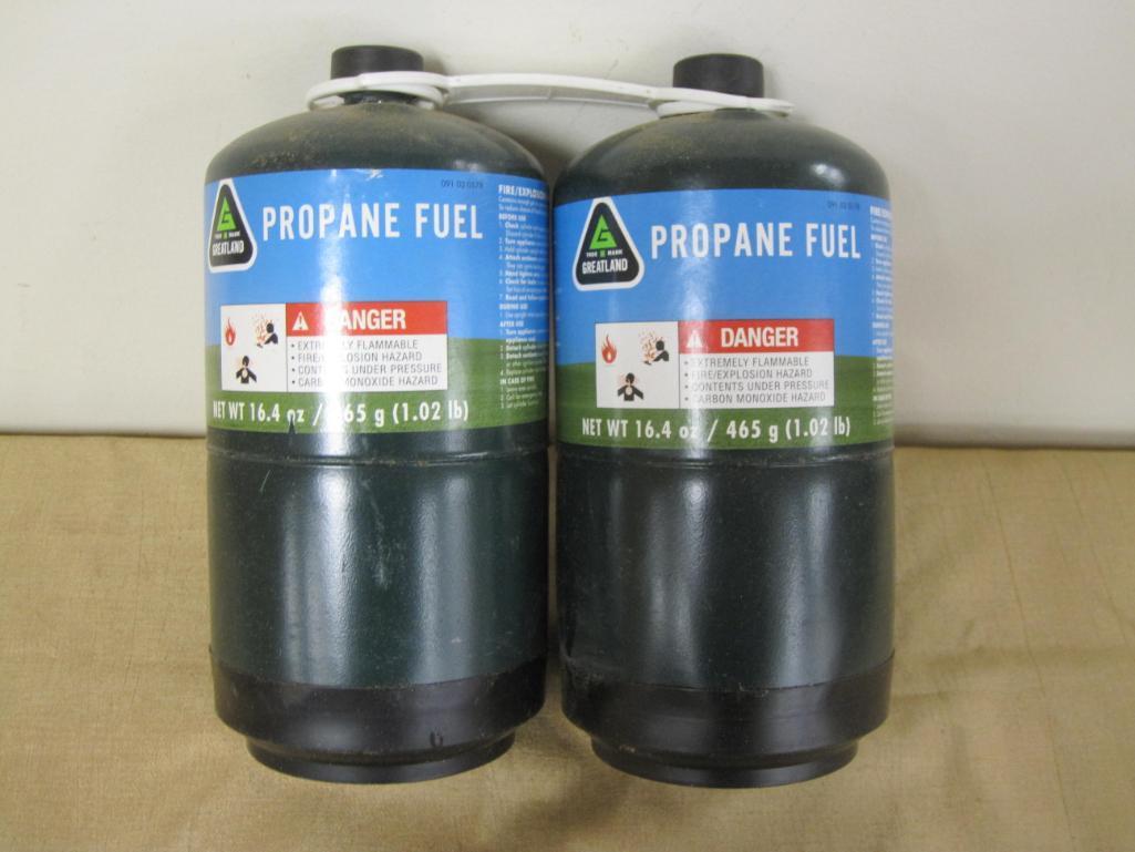 Two 1lb Propane Canisters - Full