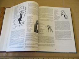 Official Dungeons and Dragons Monster Manuel II by Gary Gygax 1lb 8oz