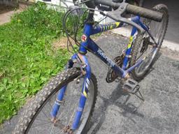 RoadMaster Mt. Fury Bicycle