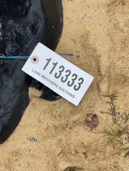 1754 - ABSOLUTE - CAST BEAR