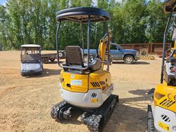 491 - ABSOLUTE - NEW TRE20 MINI EXCAVATOR