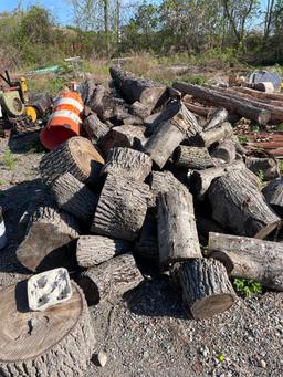 (Lot) Cut and Uncut Seasoned Fire Wood (MUST TAKE ALL)