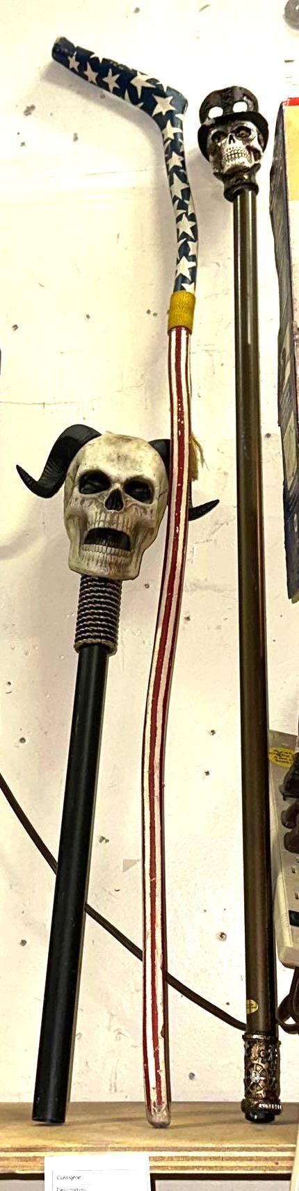 Cool Walking Sticks