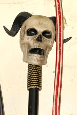 Cool Walking Sticks