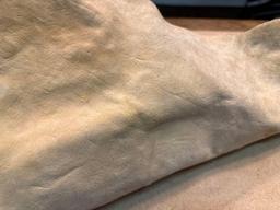 Scarce Piece of Zebra Skin & Zebra Lion skin