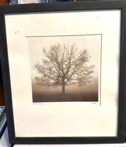 Framed "Awakening" Calvo Trees by Richard Calvo 16" x 14"