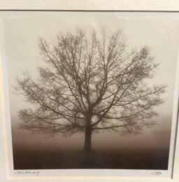 Framed "Awakening" Calvo Trees by Richard Calvo 16" x 14"