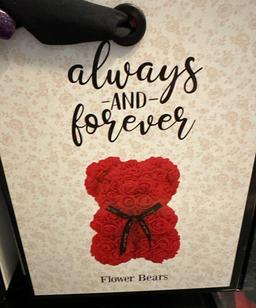 2 New Always and Forever Bears