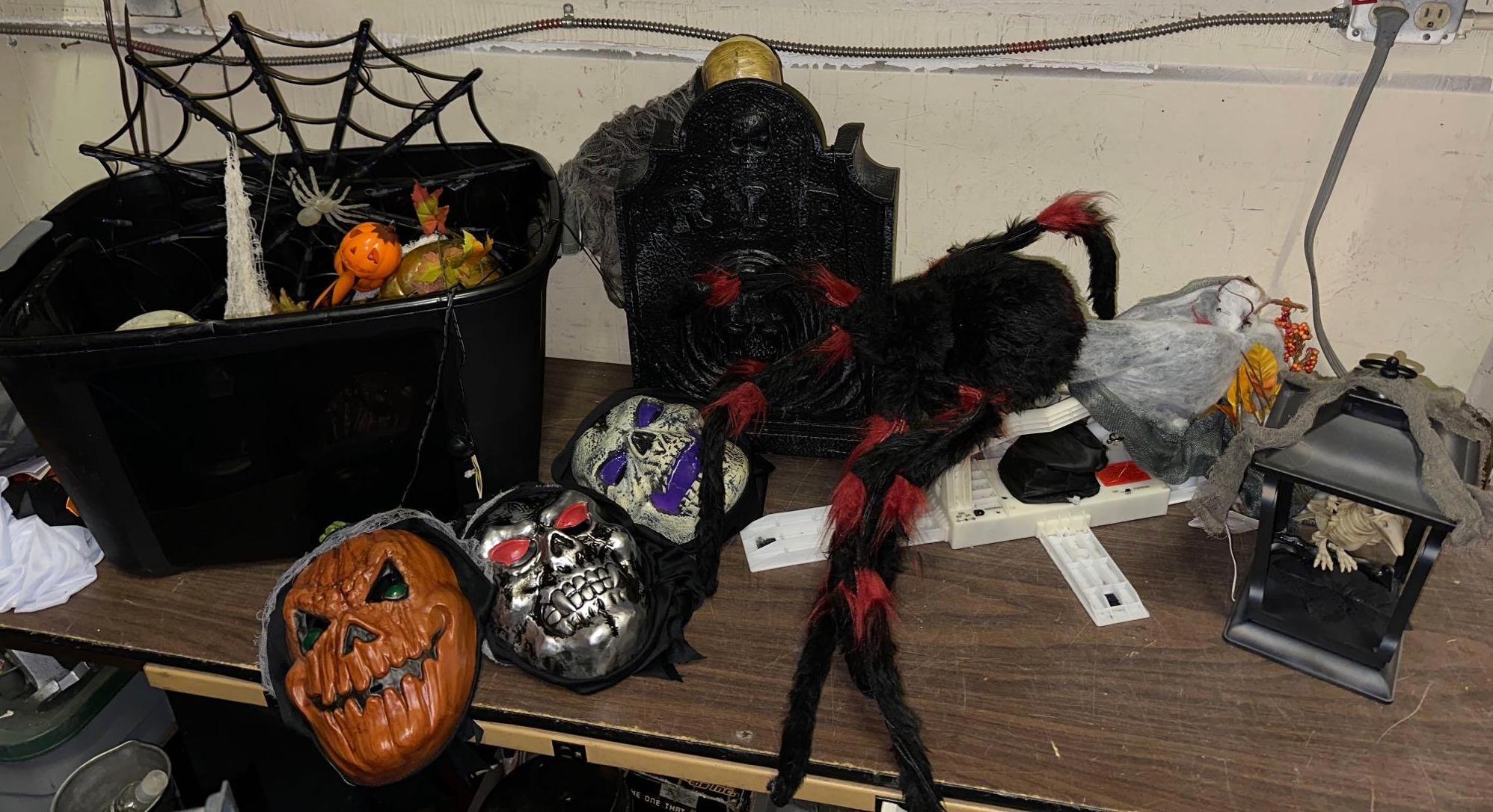 Animated Halloween Decor- Tome w/Skelton, Spider, Bird in cage, Light up web & more