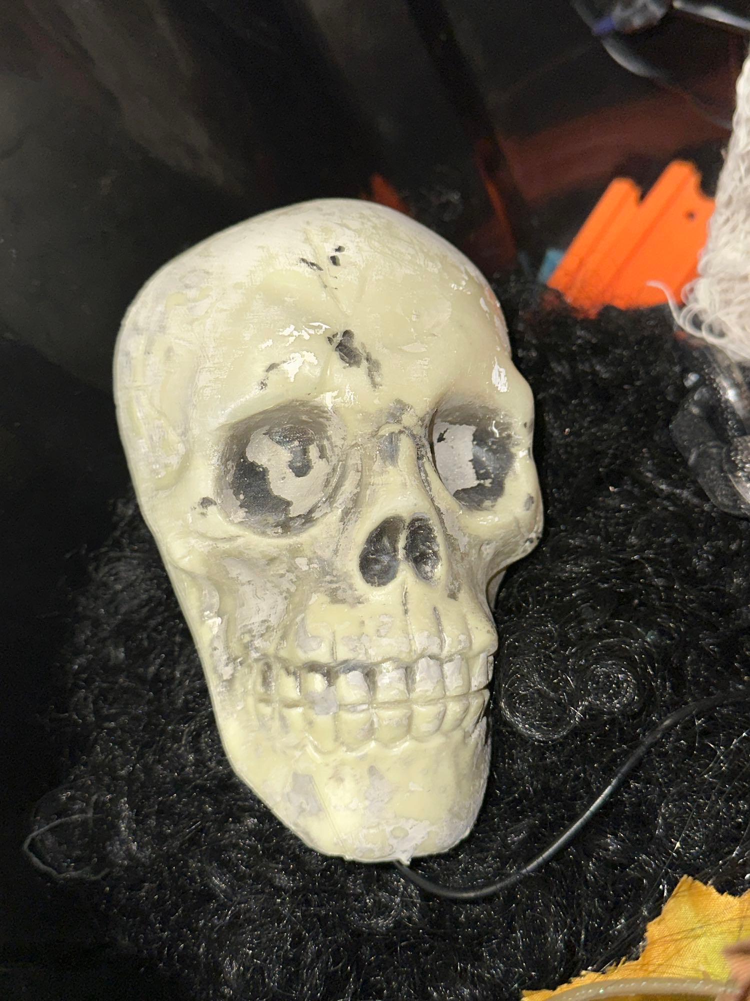Animated Halloween Decor- Tome w/Skelton, Spider, Bird in cage, Light up web & more