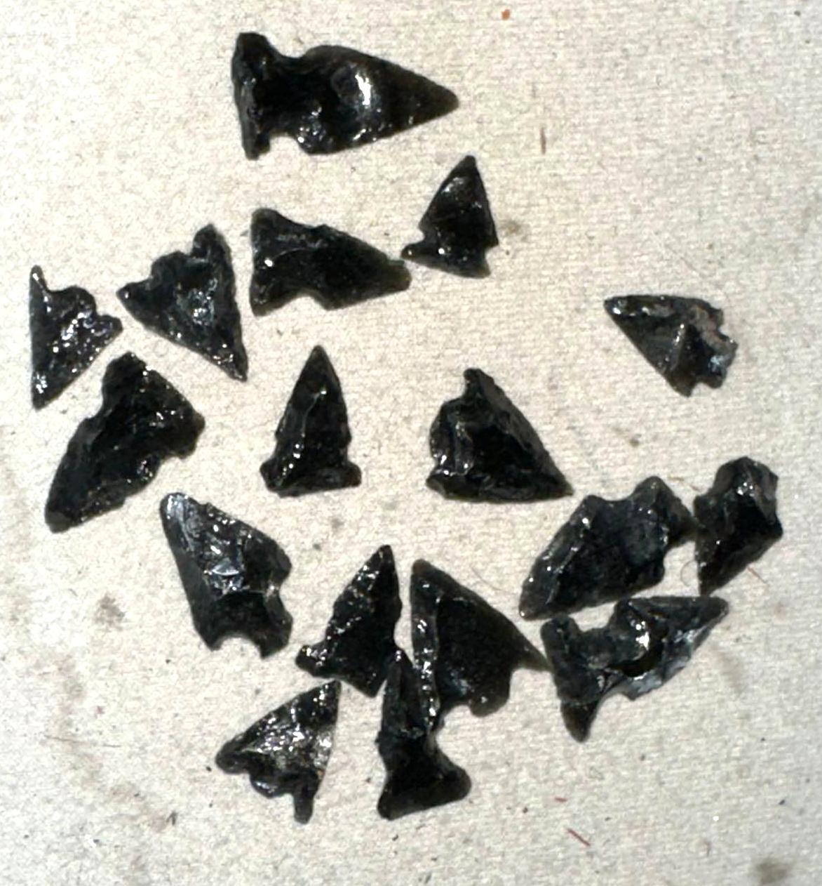 17 Obsidian Bird Points