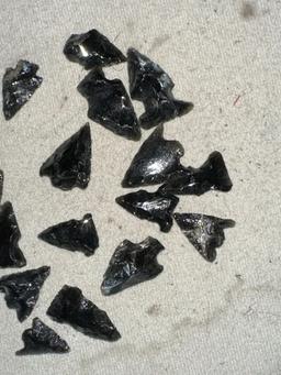 17 Obsidian Bird Points