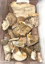 Bin full of Petrified Wood- Agates semi Precious Stones