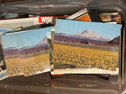 70+ Vintage Post Cards- some have been Mailed with Stamps