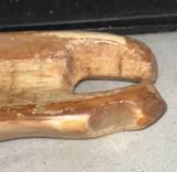 Old Ivory Sled Runner Made by Pre Inuit People