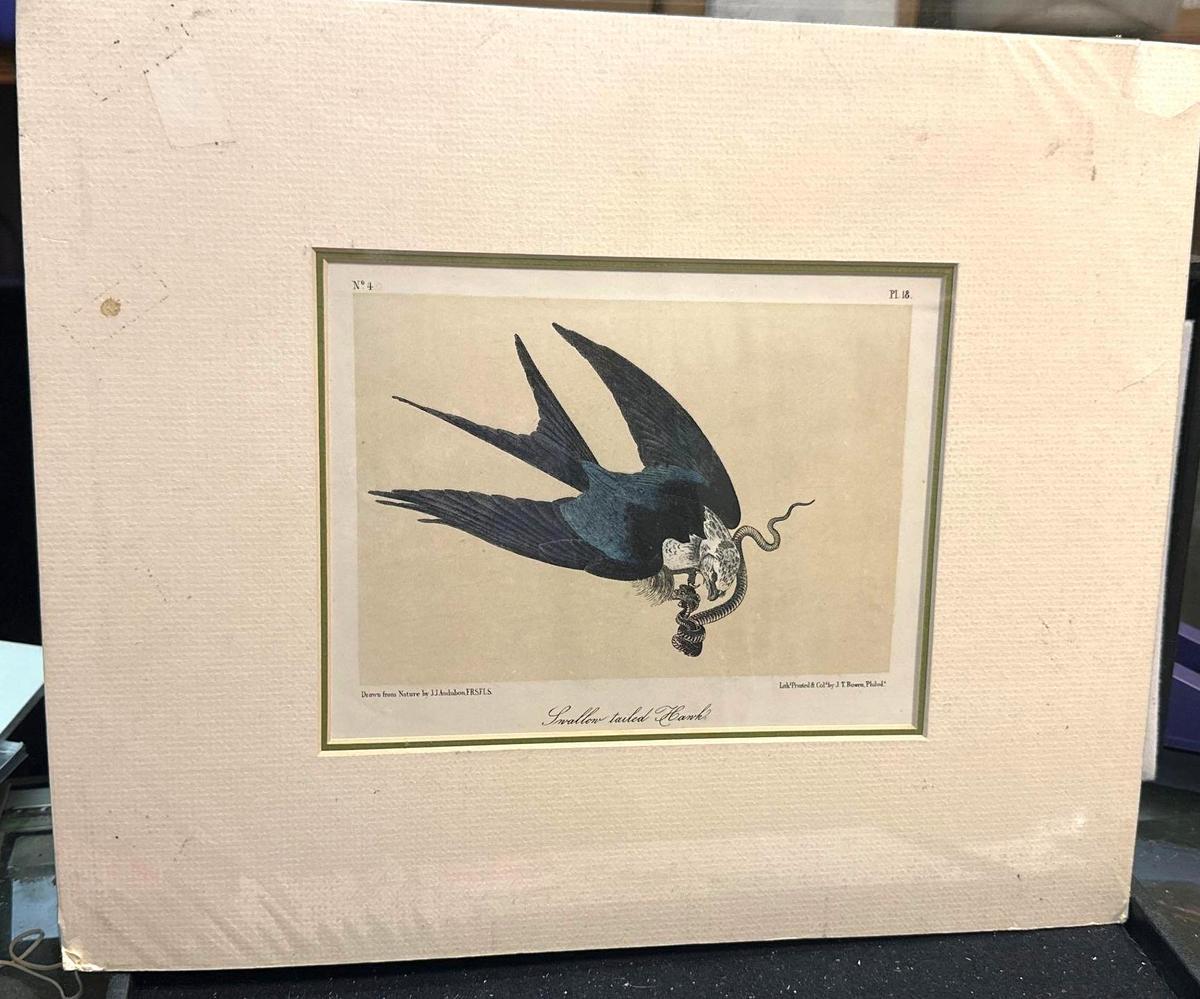 Swallow Tailed Hank Rare Print